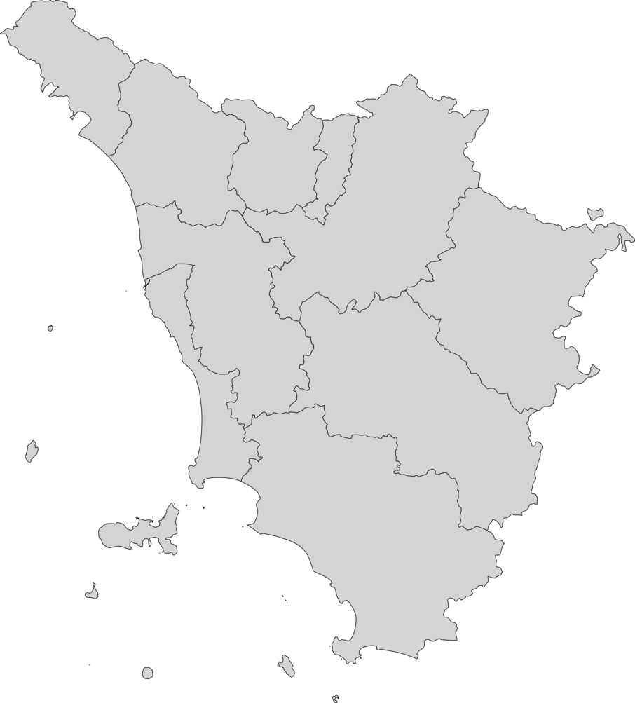 concessionari multimarche toscana