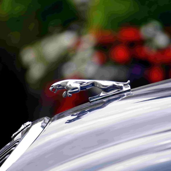 jaguar auto unicar spa